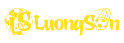luongsonco.com
